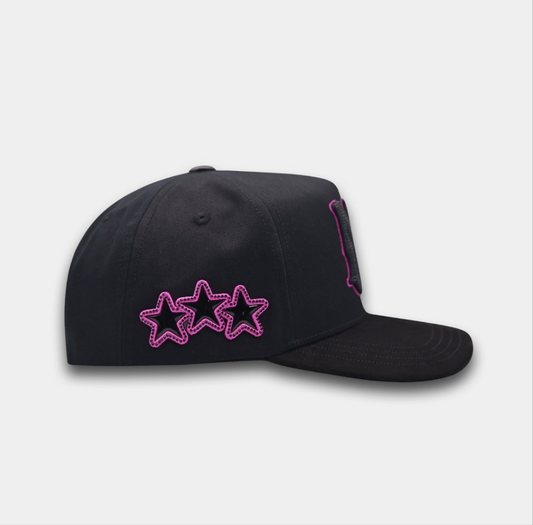 AMR PURPLE